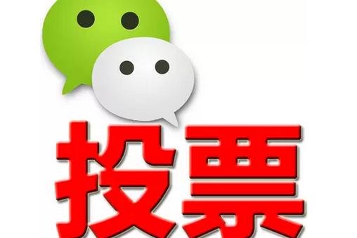 西双版纳傣族自治州微信投票功能开发 上传图片投票